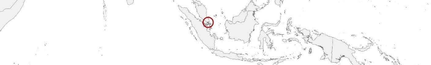 Kaufkraftdaten und soziodemographische Daten können auf einer Karte von Singapur mithilfe der Gebietsgrenzen Planning Areas20) und Subzones20) dargestellt werden.