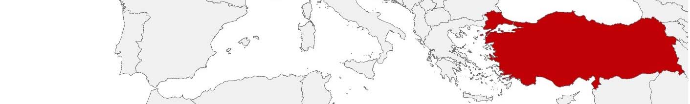 Kaufkraftdaten und soziodemographische Daten können auf einer Karte von Türkei mithilfe der Gebietsgrenzen 100 x 100 m, PC 5-digit, Ilçeler und Mahalleler dargestellt werden.