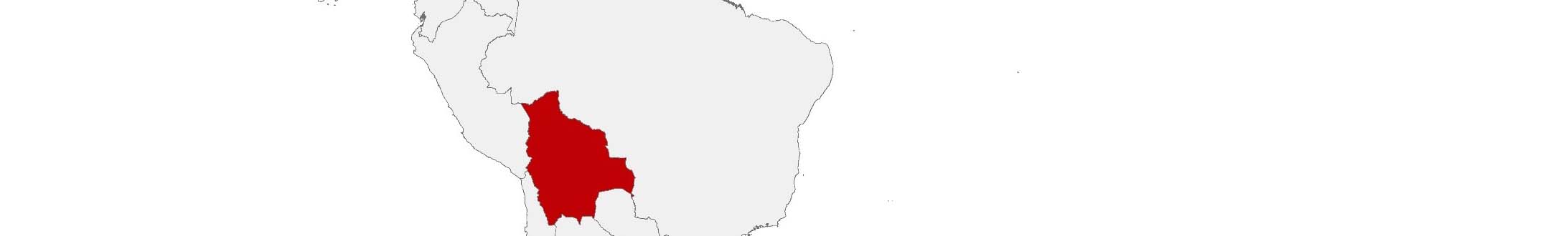 Purchasing power data and socio-demographic data can be displayed on a map of Bolivia using the following area boundaries: Departamentos and Municipios.