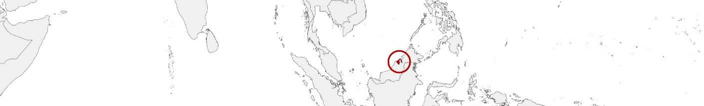 Purchasing power data and socio-demographic data can be displayed on a map of Brunei Darussalam using the following area boundaries: Daerah and Mukim.