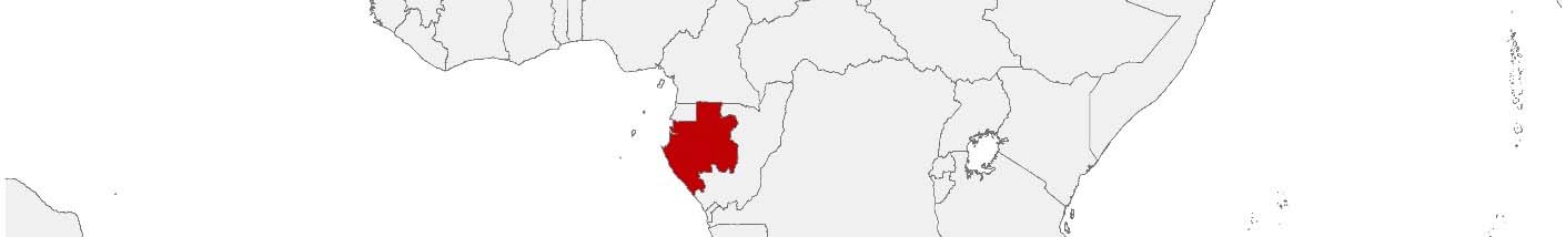 Purchasing power data and socio-demographic data can be displayed on a map of Gabun using the following area boundaries: Provinces.
