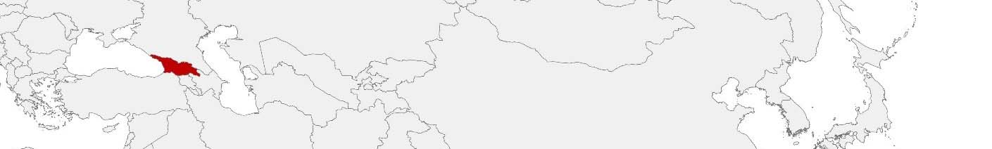 Kaufkraftdaten und soziodemographische Daten können auf einer Karte von Georgien mithilfe der Gebietsgrenzen Mchareebi dargestellt werden.