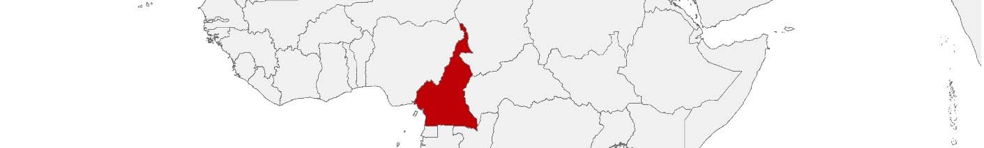 Kaufkraftdaten und soziodemographische Daten können auf einer Karte von Kamerun mithilfe der Gebietsgrenzen Départements dargestellt werden.