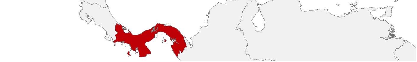 Purchasing power data and socio-demographic data can be displayed on a map of Panama using the following area boundaries: Distritos.