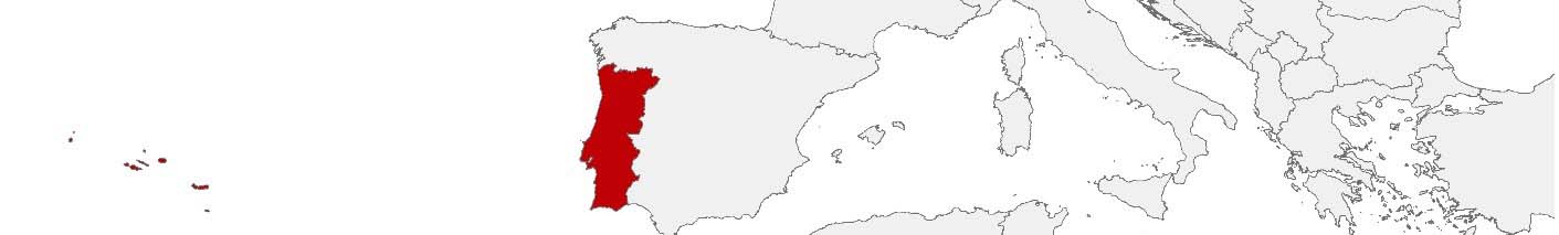 Kaufkraftdaten und soziodemographische Daten können auf einer Karte von Portugal mithilfe der Gebietsgrenzen 100 x 100 m, PC 4-digit, Freguesias und Census-Subsections dargestellt werden.