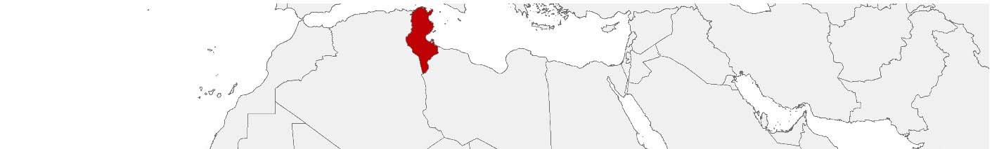 Kaufkraftdaten und soziodemographische Daten können auf einer Karte von Tunesien mithilfe der Gebietsgrenzen Wilāyāt dargestellt werden.