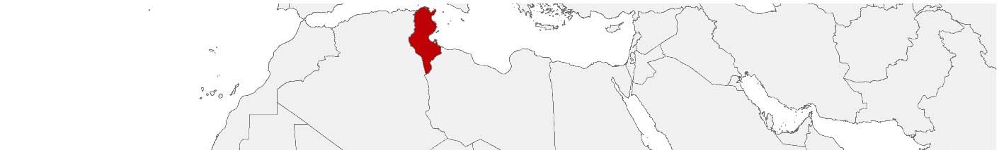 Purchasing power data and socio-demographic data can be displayed on a map of Tunisia using the following area boundaries: Wilāyāt.