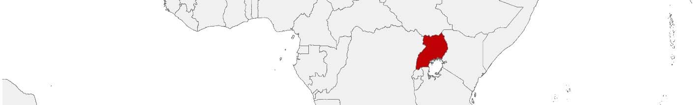 Purchasing power data and socio-demographic data can be displayed on a map of Uganda using the following area boundaries: Districts.